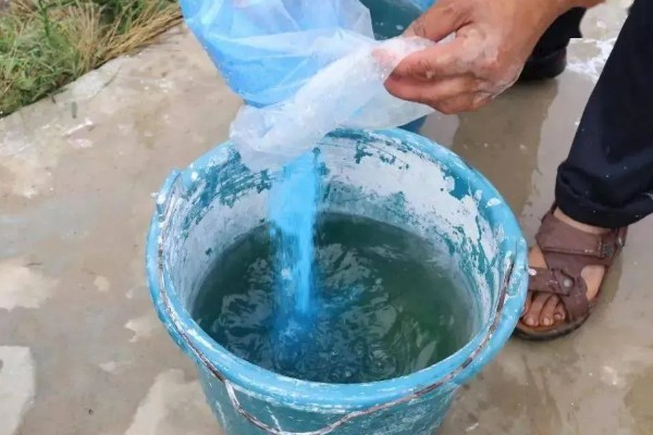 使用波尔多液要注意什么，现兑现用不可长期存放