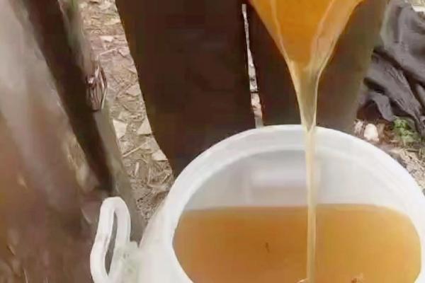 正宗荆条蜜的价格，一斤需要30-50元左右