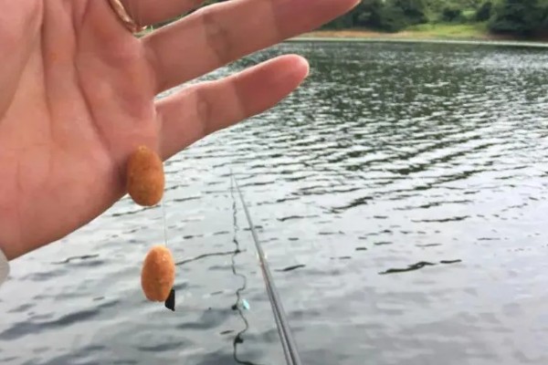 拉饵钓鲫鱼如何调漂，野钓可选择调4目钓2目或1目等方式