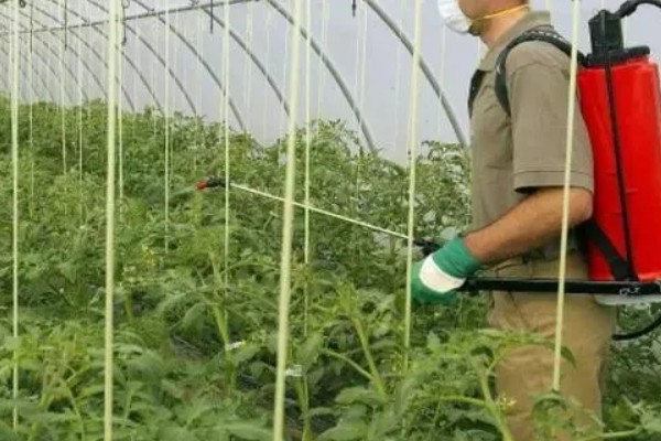 70%吡虫啉要稀释多少倍，一般与防治对象有关