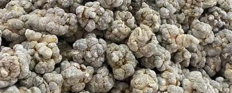 三七的标准品质，一等干货的断面呈灰绿色或灰褐色