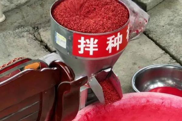 高蛋白大豆的种植要点，首先要选择优质品种