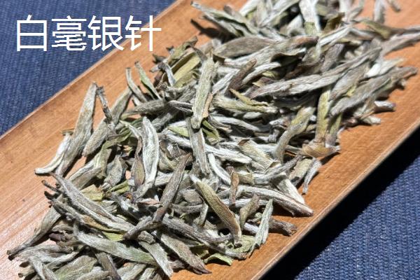 白茶如何种植，土壤要求深翻0.45-0.50米