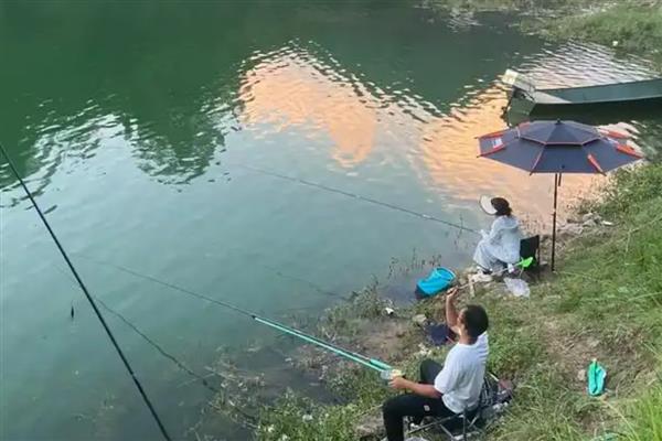 鲶鱼钓底还是浮钓好，一般情况下建议钓底