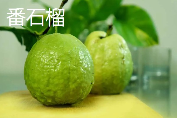 石榴有哪些常见的品种，常见的有突尼斯软籽石榴、青皮石榴等
