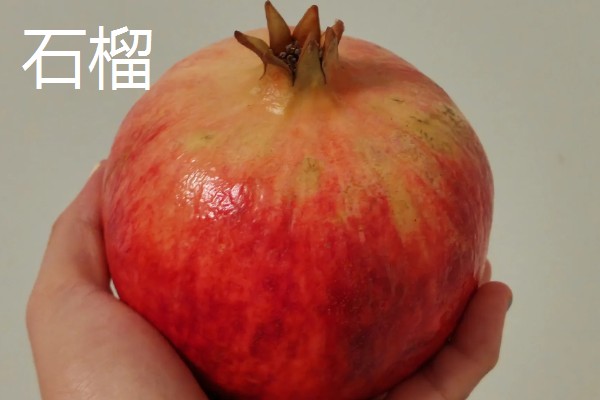 石榴有哪些常见的品种，常见的有突尼斯软籽石榴、青皮石榴等