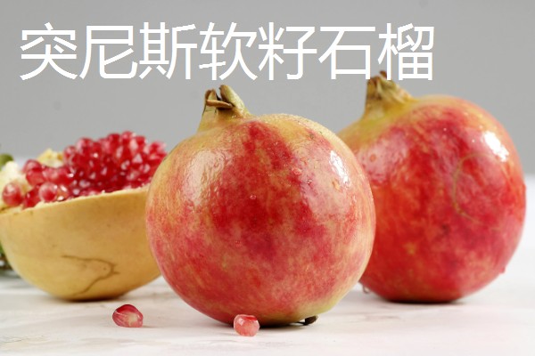 石榴有哪些常见的品种，常见的有突尼斯软籽石榴、青皮石榴等