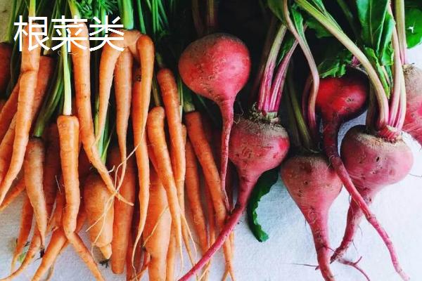 蔬菜的种类，分为茄果类、叶菜类等