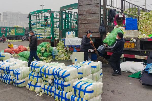 蔬菜的种类，分为茄果类、叶菜类等