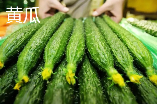 常见的蔬菜种类，有西兰花、木耳等