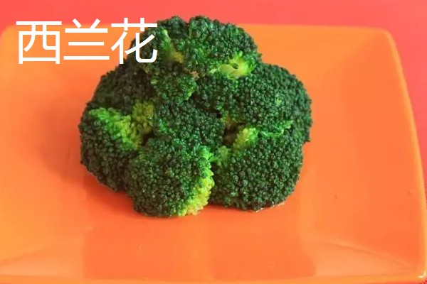 常见的蔬菜种类，有西兰花、木耳等