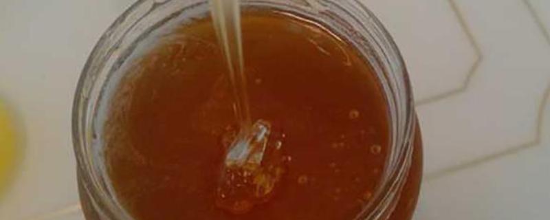 桉树蜜和蜂蜜的区别是什么，定义和蜜源均不同