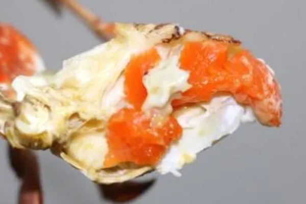 梭子蟹的蟹黄特征，蟹黄呈橘黄色