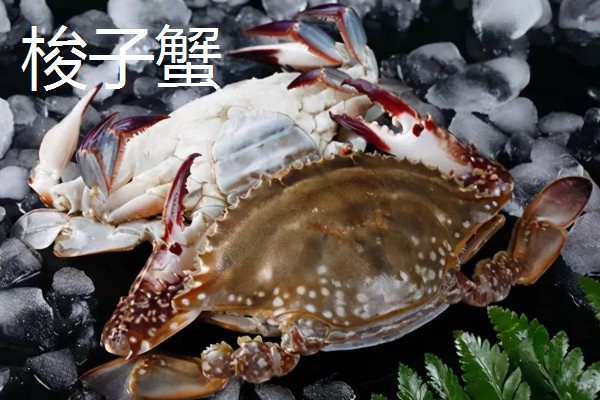 河蟹和梭子蟹的区别，别称和科属均不同