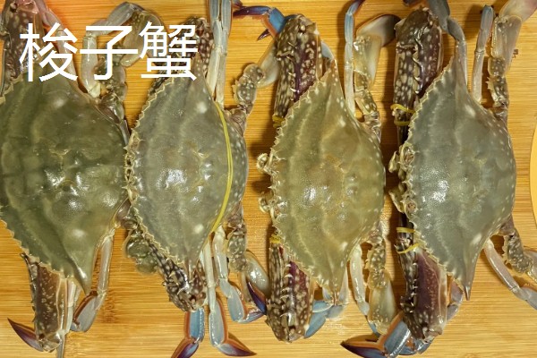 河蟹和梭子蟹的区别，别称和科属均不同