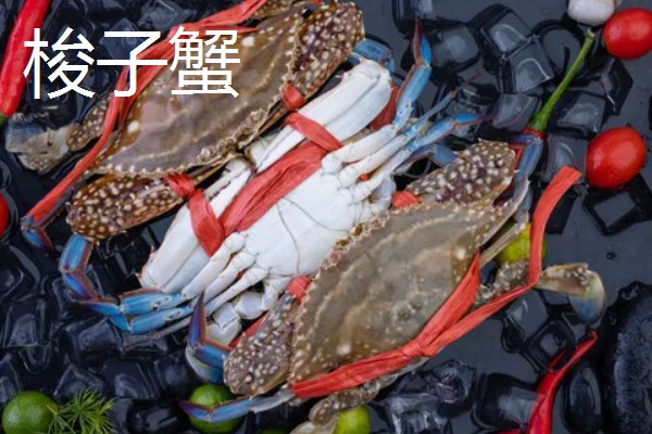 河蟹和梭子蟹的区别，别称和科属均不同