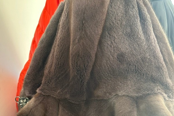 黑貂皮发红是不是褪色了,在阳光下发红属于正常情况