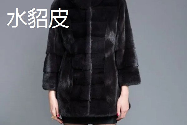 黑貂皮发红是不是褪色了,在阳光下发红属于正常情况