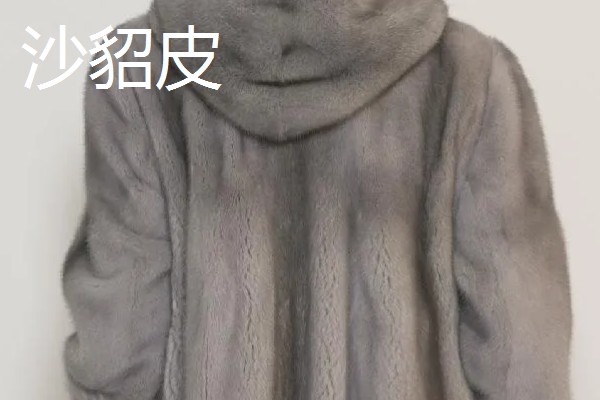 黑貂皮发红是不是褪色了,在阳光下发红属于正常情况