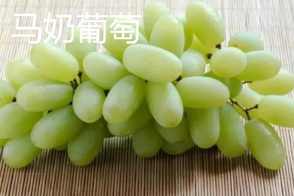 哪种葡萄呈青色而且很甜，常见香妃葡萄、阳光玫瑰等品种