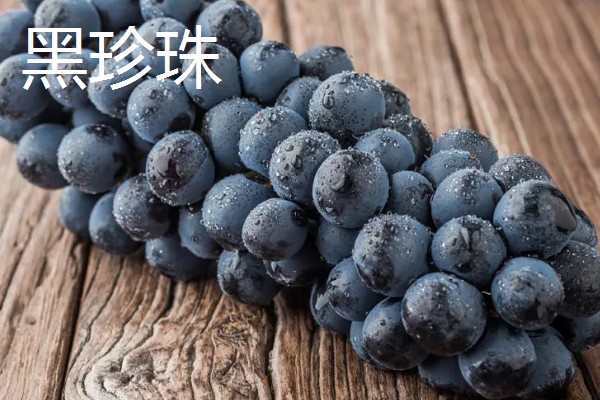哪种葡萄呈青色而且很甜，常见香妃葡萄、阳光玫瑰等品种