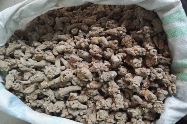 三七的标准品质，一等干货的断面呈灰绿色或灰褐色