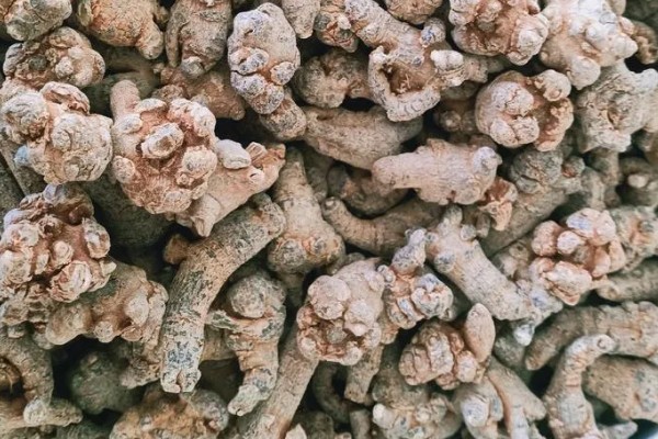 三七的标准品质，一等干货的断面呈灰绿色或灰褐色