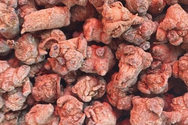 三七的标准品质，一等干货的断面呈灰绿色或灰褐色
