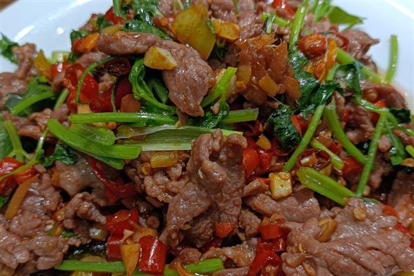 牛的出肉率，普通品种多为35-50%左右