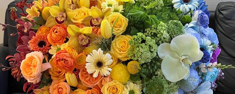 进口玫瑰花的品种，有绿薄荷、彩虹玫瑰等