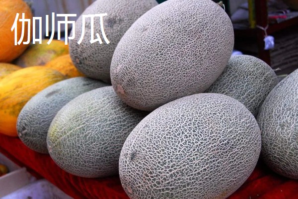 哈密瓜的原产地，原产地是鄯善