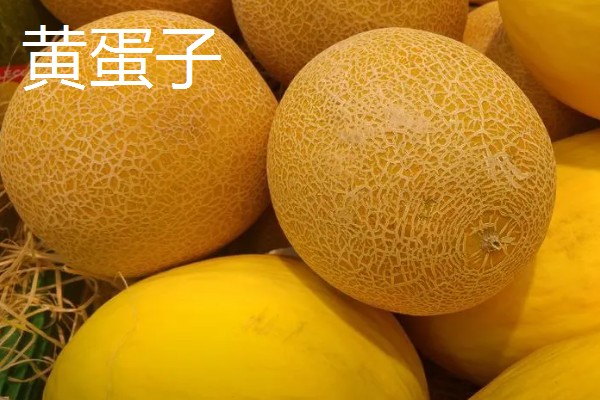 哈密瓜的原产地，原产地是鄯善
