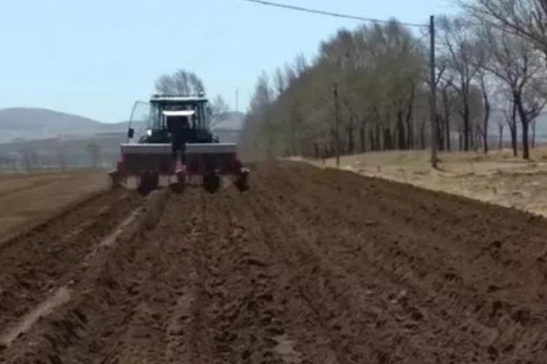茄子如何育苗，种植前需在30℃左右的温水中浸种