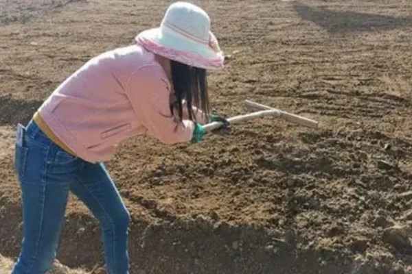 茄子如何育苗，种植前需在30℃左右的温水中浸种