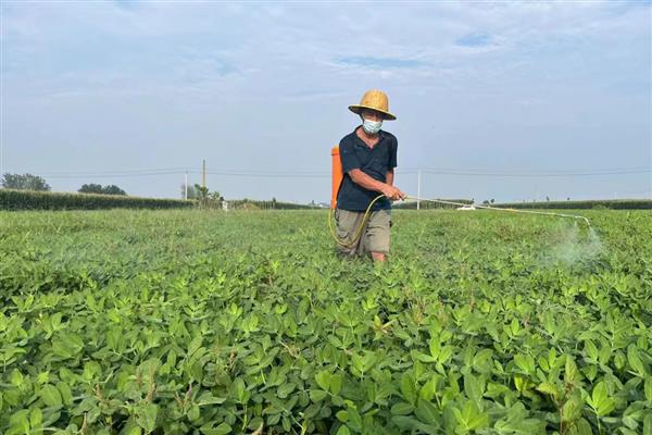 除草剂中毒多久会有反应，误服后30分钟后便有反应