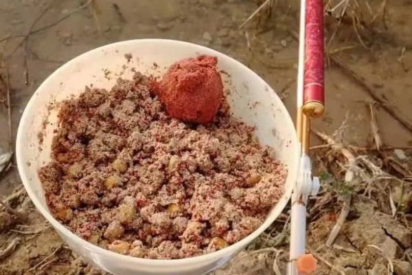 初冬钓草鱼钓底还是钓浮，钓底是最好的