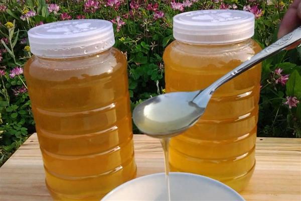 蜂蜜的食用方法，用温开水冲泡饮用是常见方式