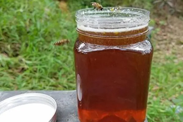 桉树蜜和蜂蜜的区别是什么，定义和蜜源均不同