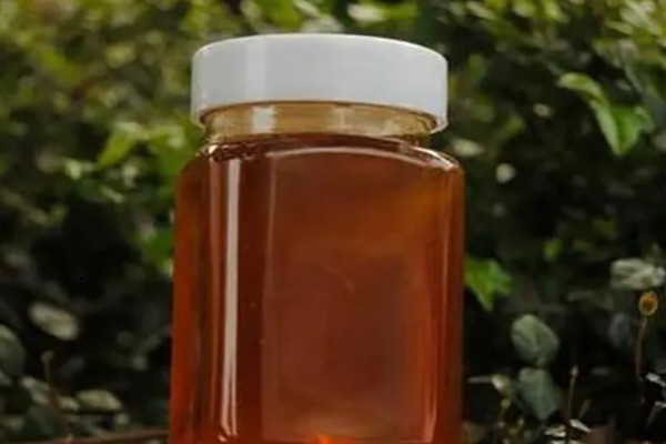 桉树蜜和蜂蜜的区别是什么，定义和蜜源均不同