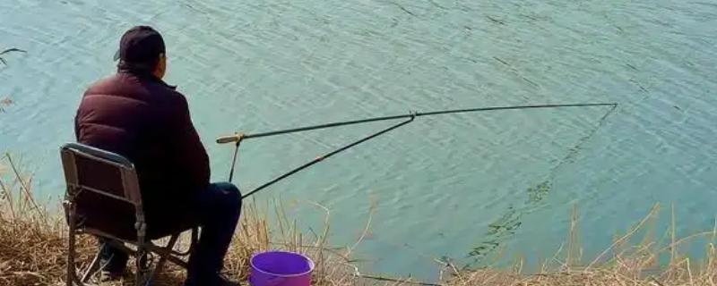春天钓鲢鳙什么时候开口，水温稳定在15度以上的时候开口