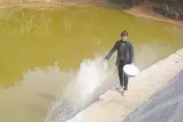 鱼塘多深养鱼合适，在2-3米为佳
