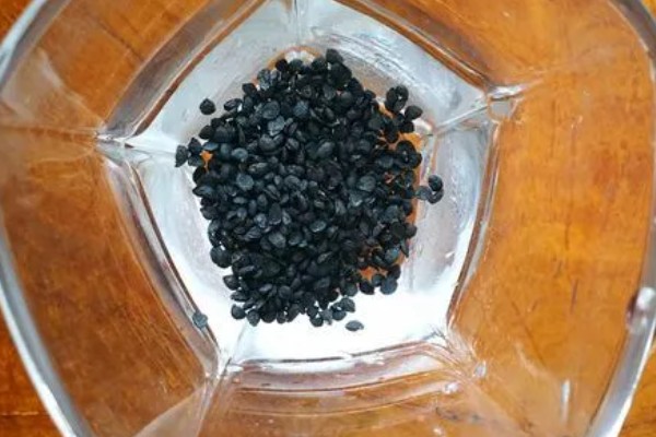 种韭菜用什么盆，花盆、塑料槽、泡沫箱皆可使用