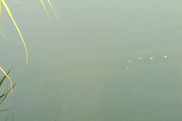 七星漂钓鲫鱼的技巧，作钓时还要根据鱼口情况及时续窝