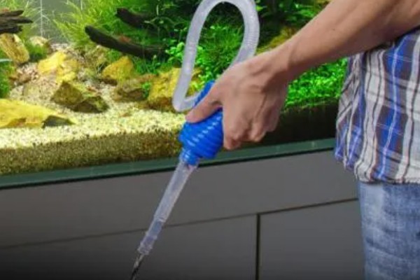 鱼缸的水多久换一次，一般要一周换一次