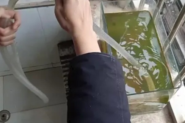 鱼缸的水多久换一次，一般要一周换一次