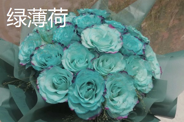进口玫瑰花的品种，有绿薄荷、彩虹玫瑰等