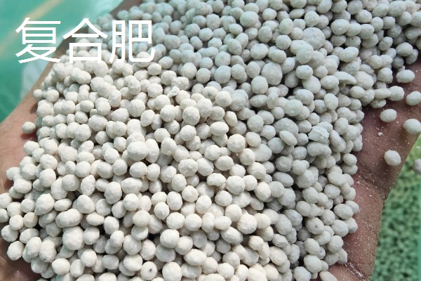 磷肥、氮肥、尿素、复合肥的区别，养分和用法均不同