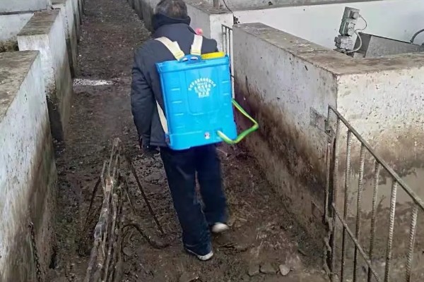 大棚养鸭的方法，夏季要做好防暑降温的工作
