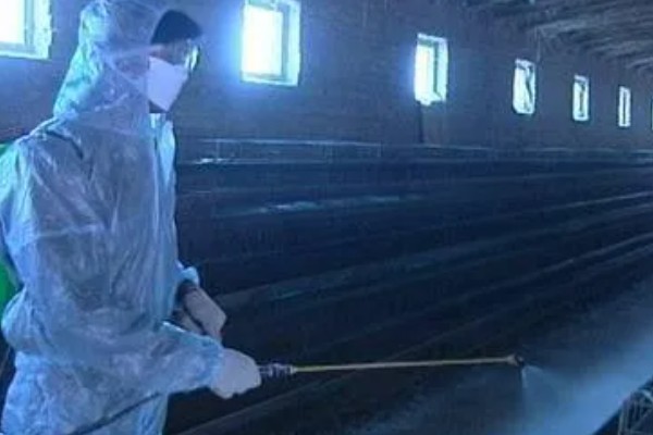 大棚养鸭的方法，夏季要做好防暑降温的工作