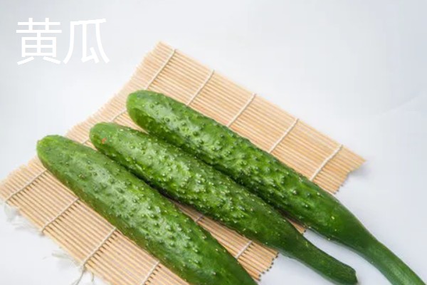 黄瓜种子不泡能不能发芽，不泡的话也是可以发芽的